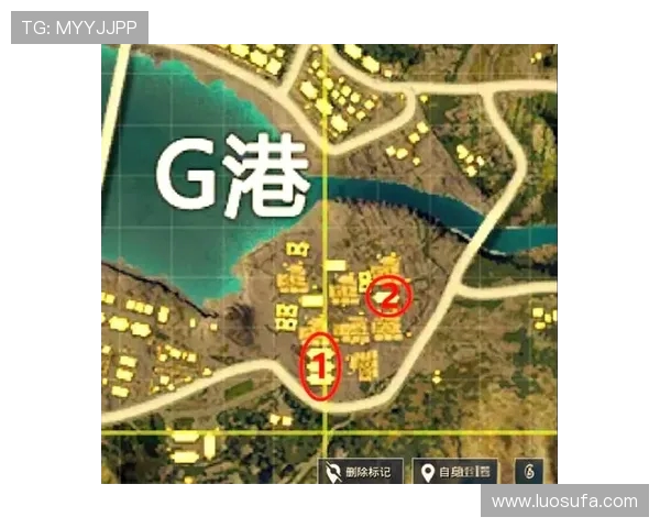 和平精英战术分析：深入探讨TES在阵地战中的战略布局与执行细节