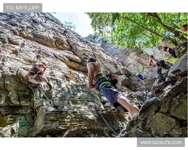 成都攀岩队在极限运动联赛中的速度表现分析与点评