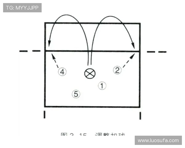排球战术揭秘:深入分析上海排球队的制胜之道与训练秘诀 排球战术揭秘:深入分析上海排球队的制胜之道与训练秘诀