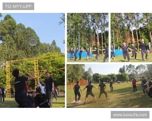 杭州飞盘队战术创新引领潮流助力团队实力再攀高峰