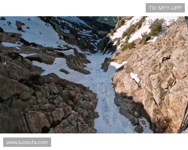 极限运动的勇者之路：广州极限运动队的奋斗与突破全景纪实