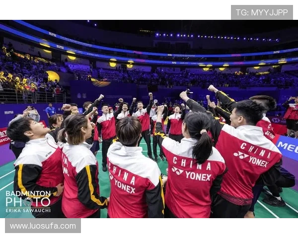 深圳羽毛球队与杭州羽毛球队赛后复盘分析力量对比与战术启示