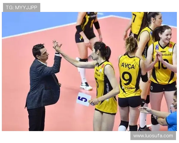 西安排球队的逆袭之旅：排球场上的奋斗与荣耀记录