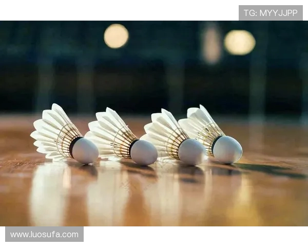 赵娜独家分享羽毛球技巧与心得助你提升竞技水平与乐趣