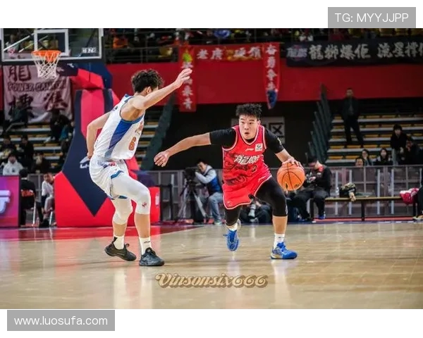 青岛国信主场激战广州龙狮全力冲击胜利展现新赛季硬实力